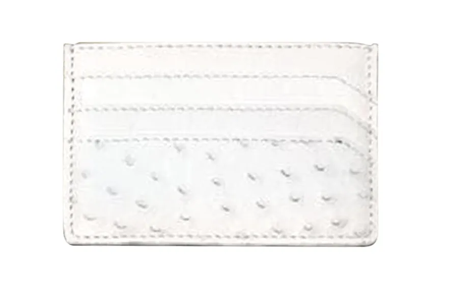 Everyday Chic Chic Vision Ciara Card Holder Ostrich