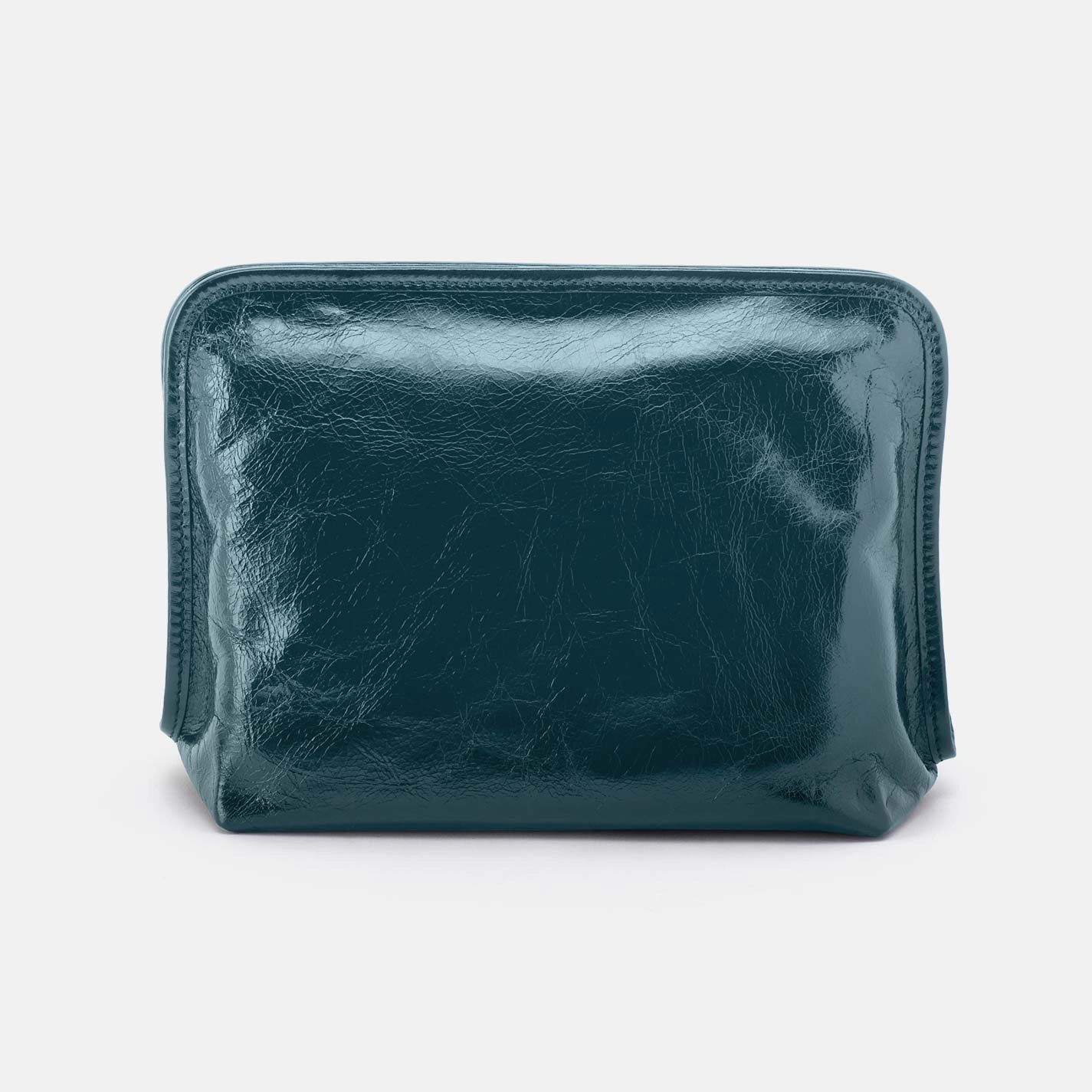 Versatile Design Compact Performance Beauty Large Cosmetic Pouch in Polished Leather - Wild Bluegrass