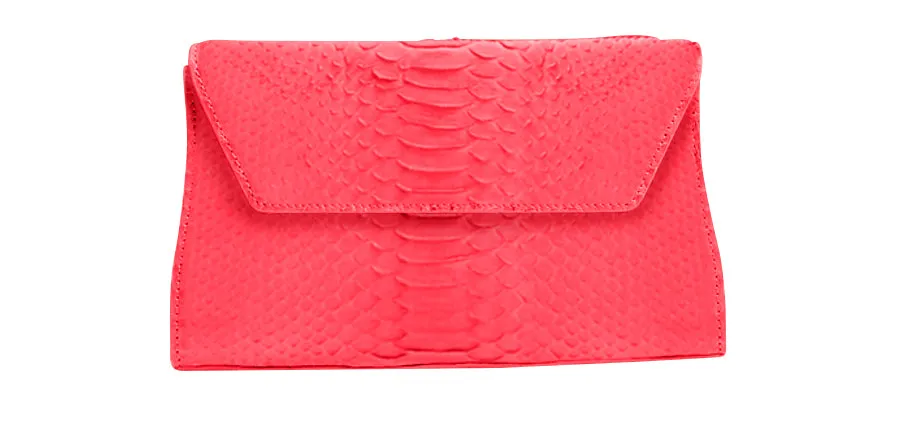 Fashion Utility Celine Python Clutch