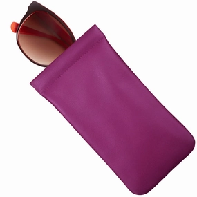 Light Carry Frame Glasses Case